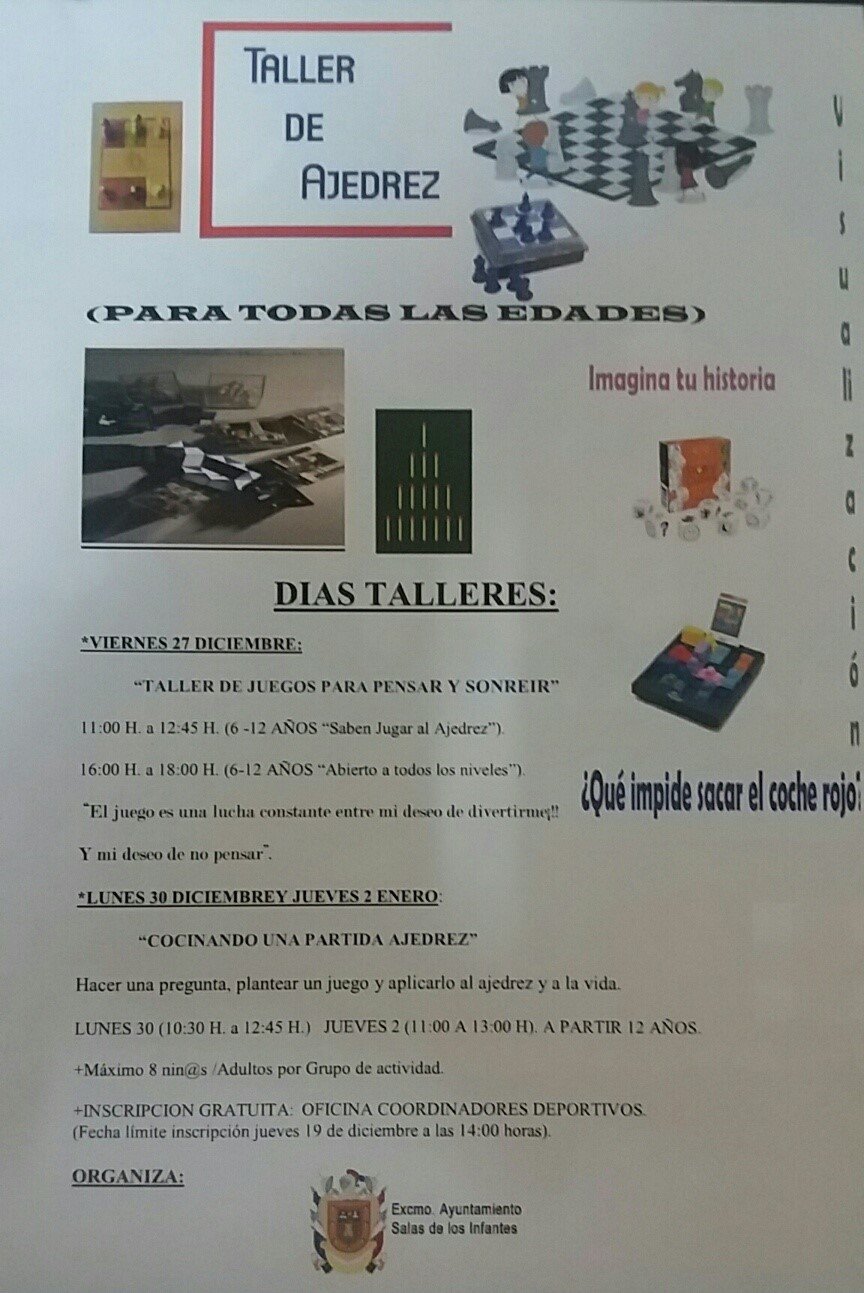 taller ajedrez salas