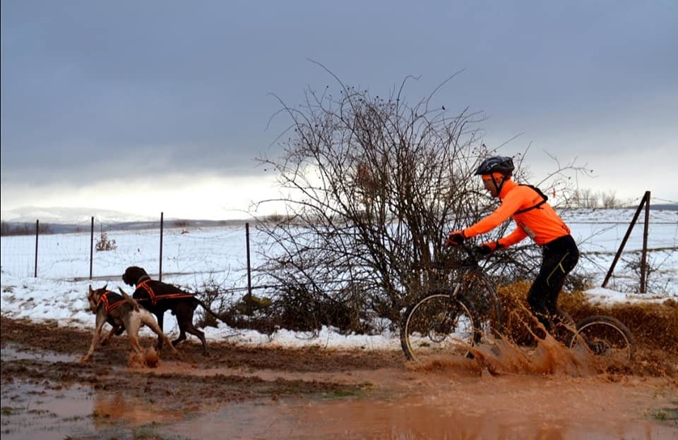 83382265_2878898128837160_7477489662349541376_n