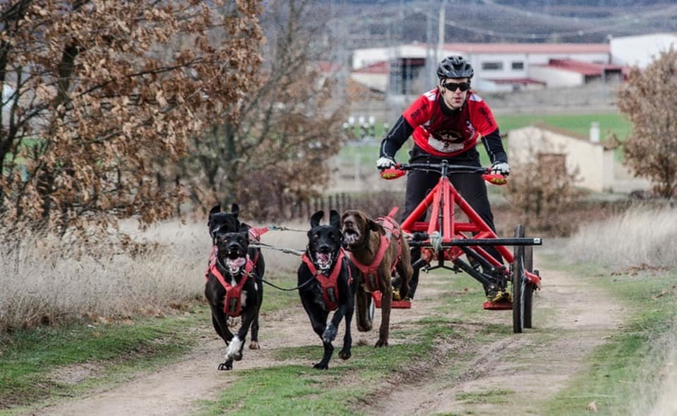 84462842_2878898218837151_6542730939938635776_n