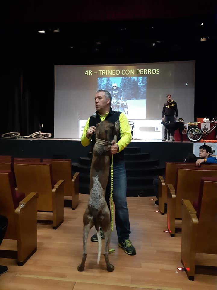 84868740_2912281392165500_4121979168801947648_n