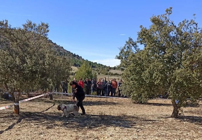 86280828_2767958496584480_4680090004045692928_n