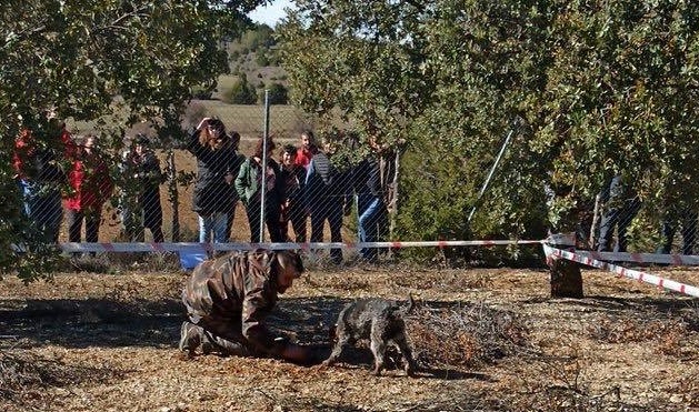 86393704_2767968756583454_8178959217374265344_n