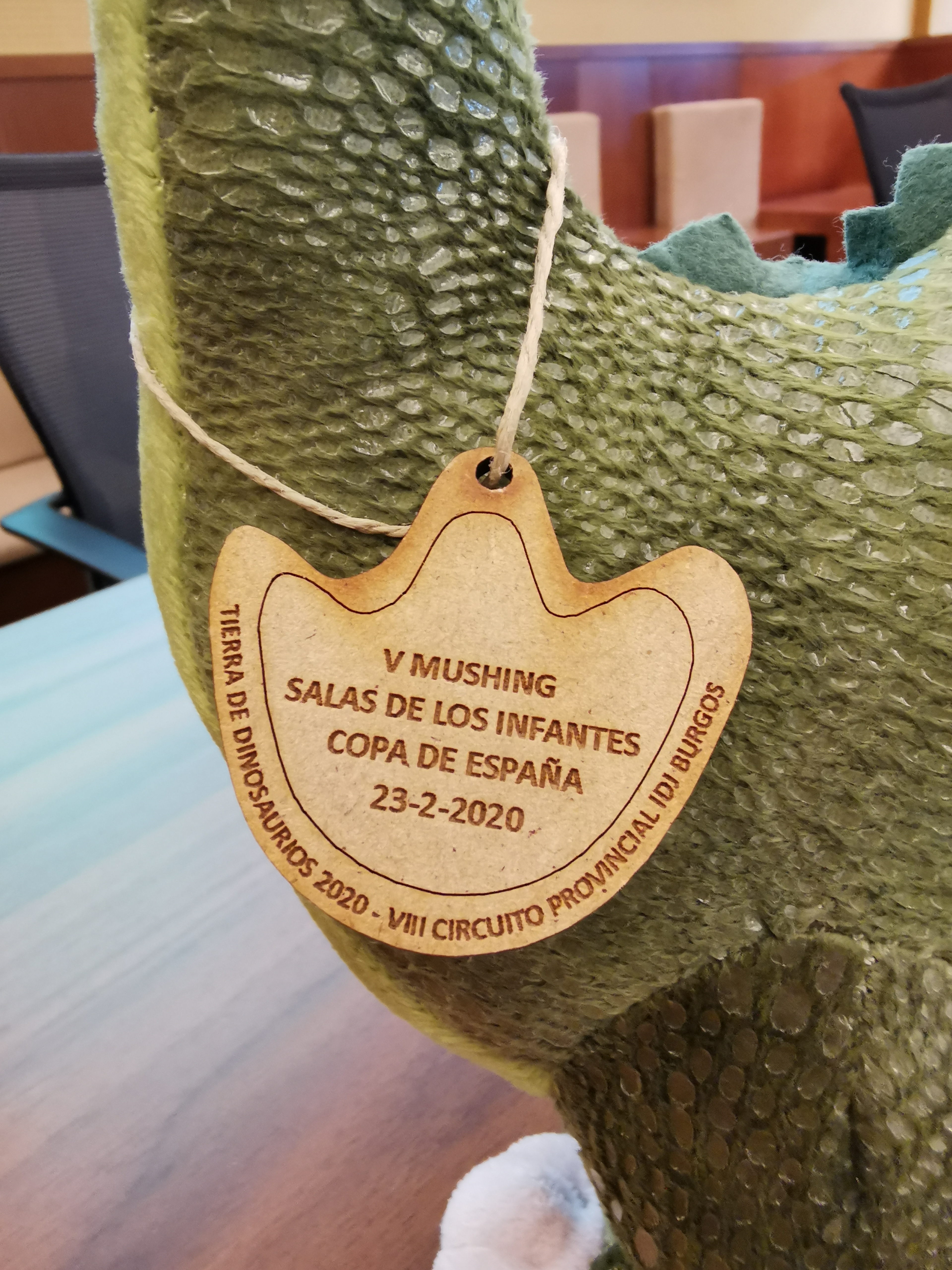 Medalla para todos los asistentes a la prueba
