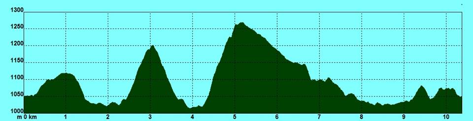 12508767_1093326607352942_8496017402434908871_n