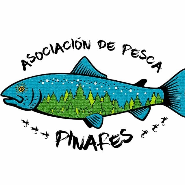 76940757_107610067385212_2074594402264678400_n