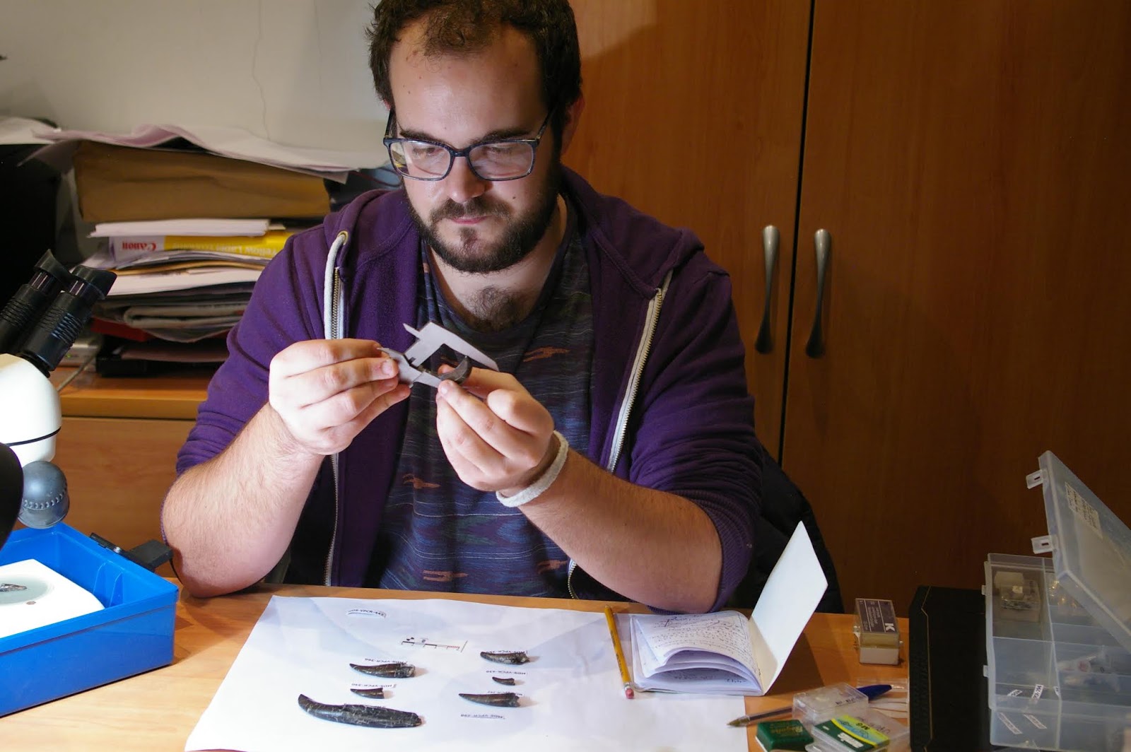 Álvaro Simarro estudiando dientes en Museo Dinosaurios (2)