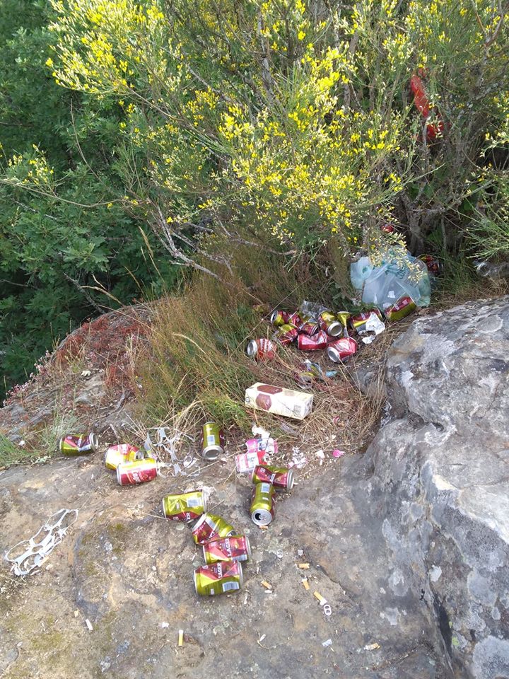 102664218_737008053708390_7550511592487595682_o