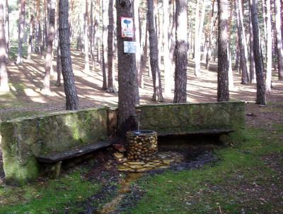 Fuente del Pino