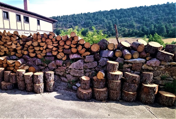 PicsArt_06-27-09.36.57 (2) (1)