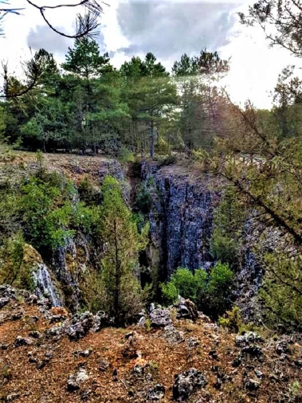 Torcajon CASAREJOS (1)
