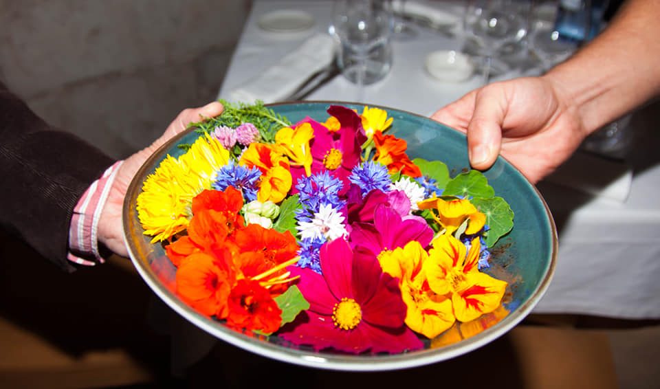 120999133_3429618280465425_5048670038658402454_n