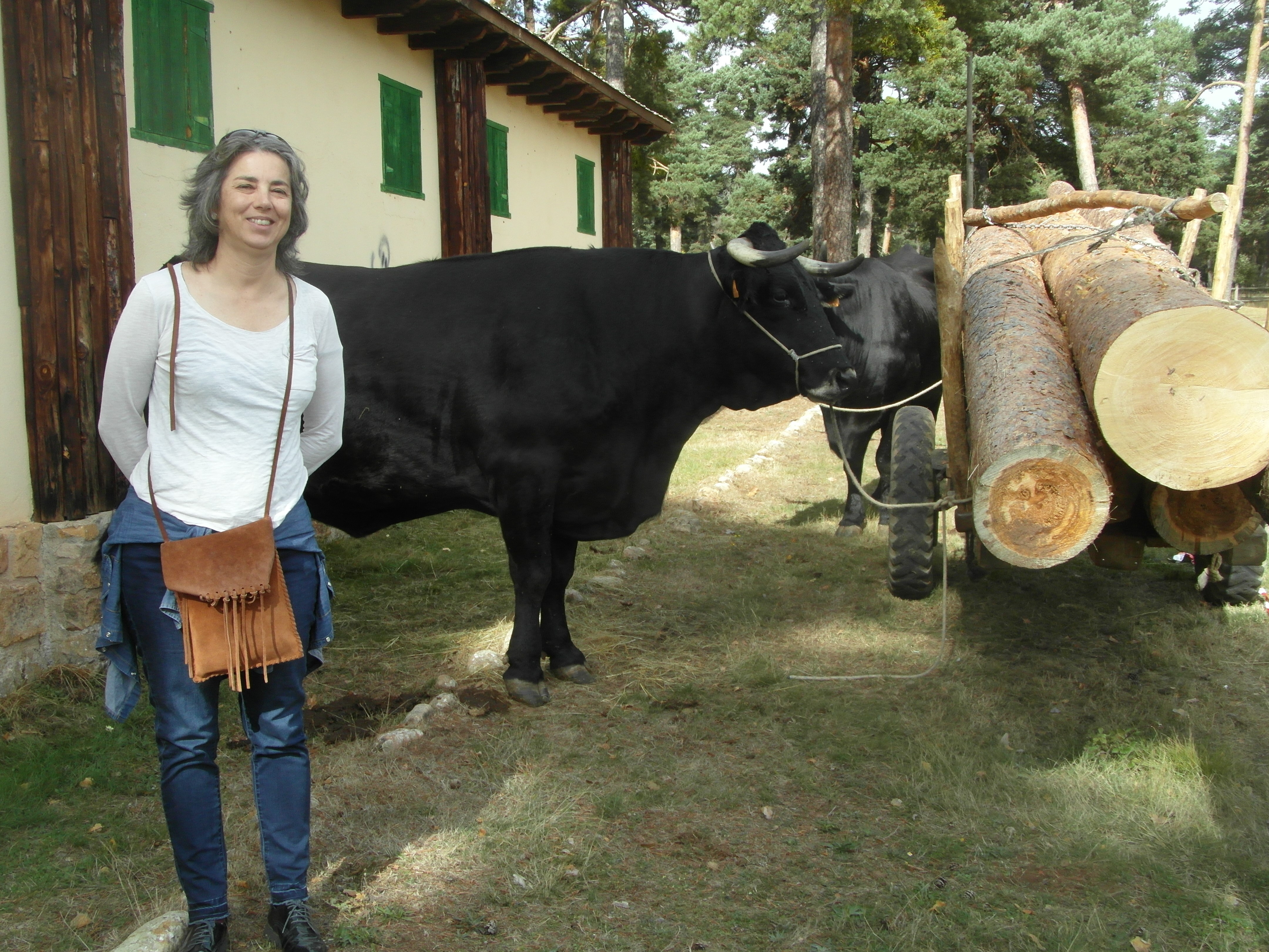 FOTO CARRETA DE  - copia