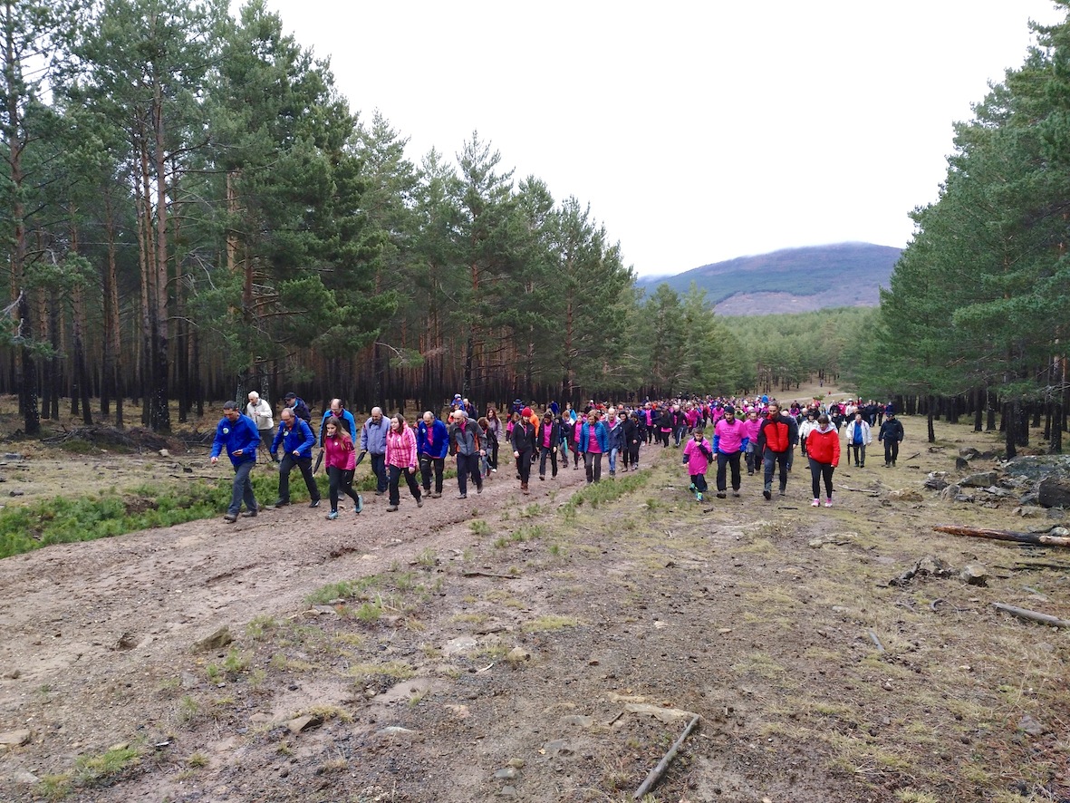 Nieves de Diego copia 2