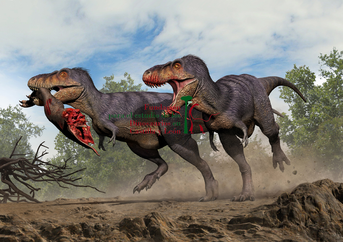 Tarbosaurus (1)