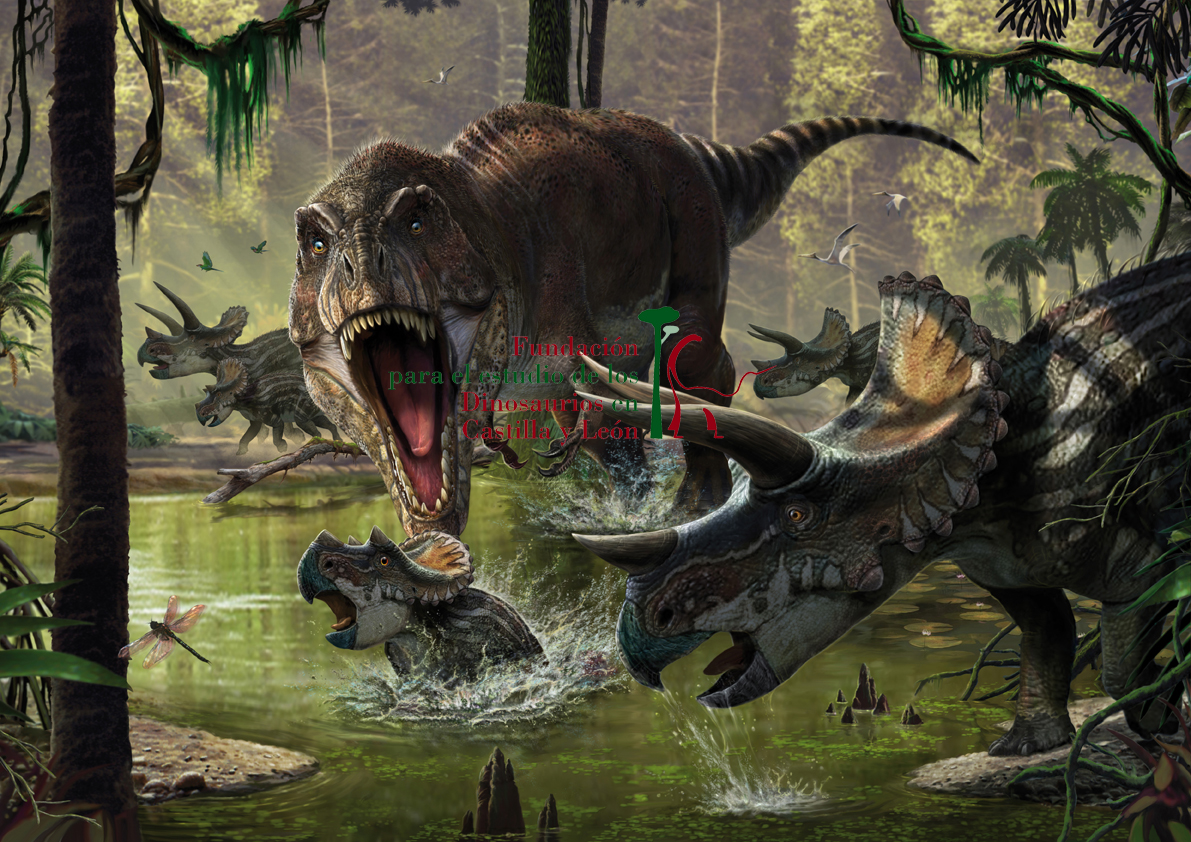 The picture shows ( aTyrannosaurus rex female) Sue's attack on a triceratops puppy in a marshy area of a Cretaceous forest in North America.
