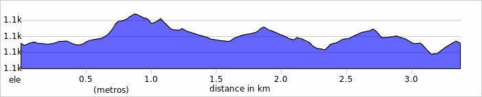 san silvestre foto 2