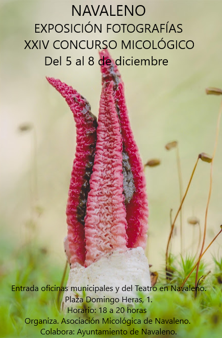 Micológica EXPOSICIÓN