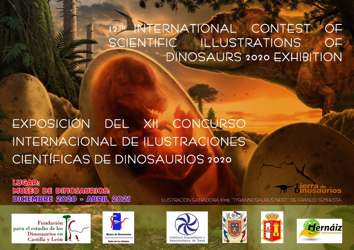 Cartel Exposición XII Concurso Ilustraciones 2020