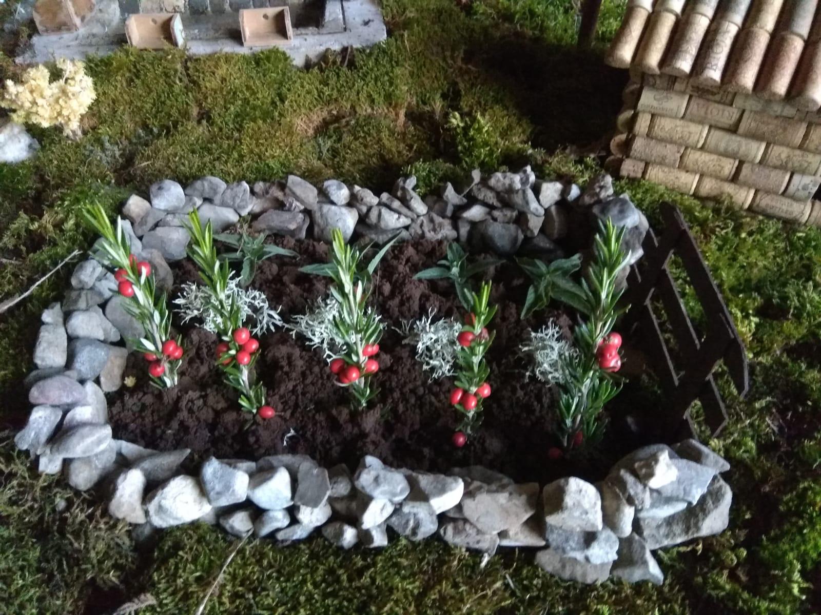 WhatsApp Image 2020-12-10 at 11.48.36