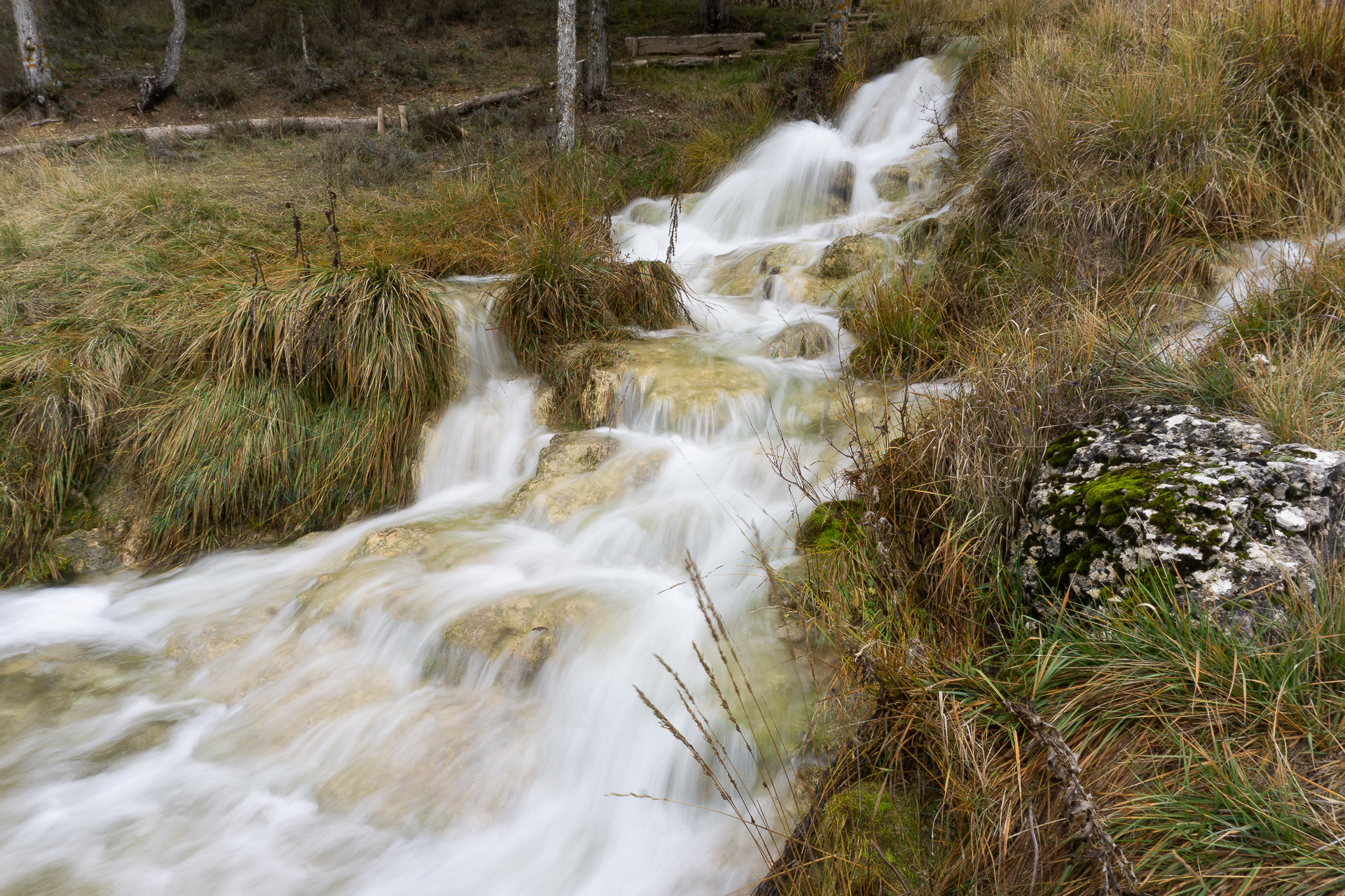 50714537253_dbed03ef75_o