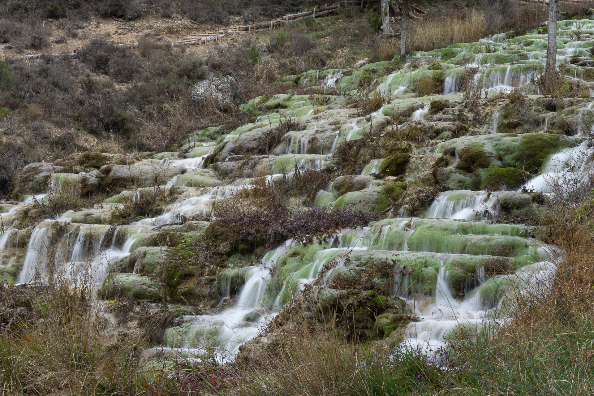 50715351282_9239e27981_o