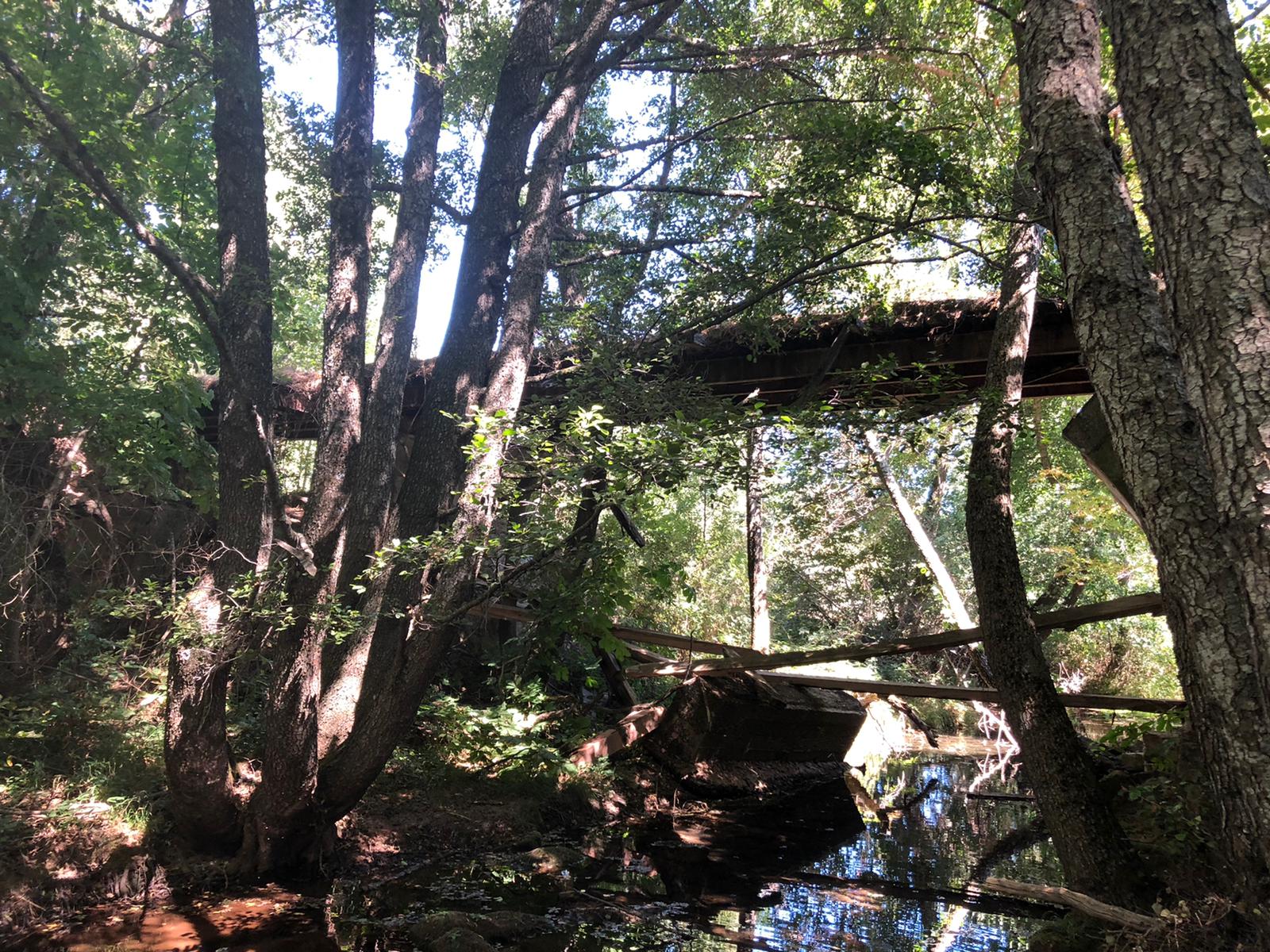 WhatsApp Image 2020-12-13 at 15.30.18