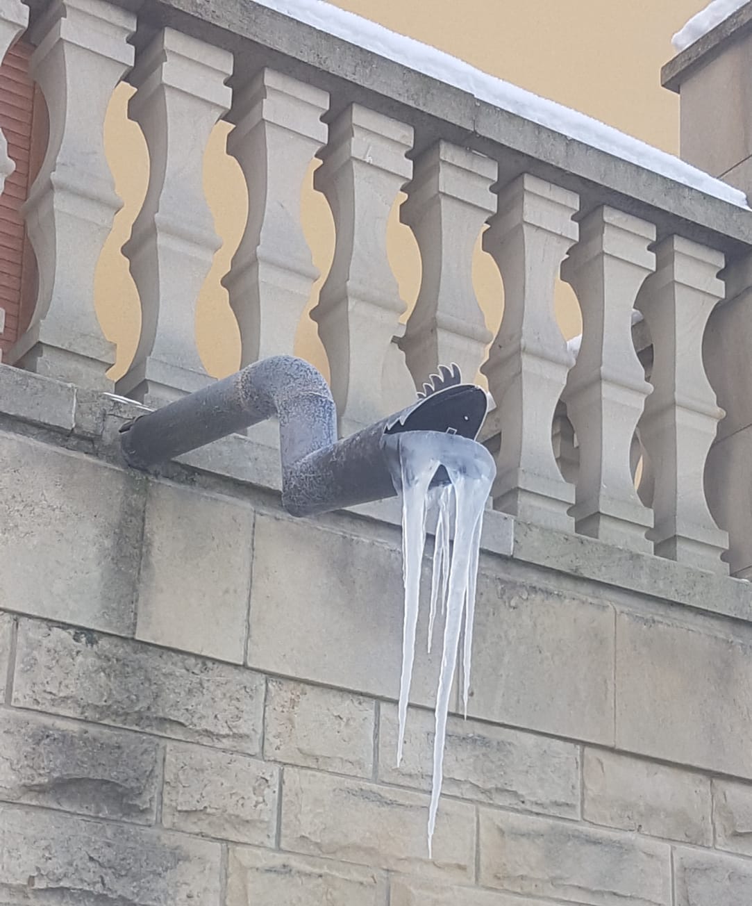 PHOTO-2021-01-08-12-56-31