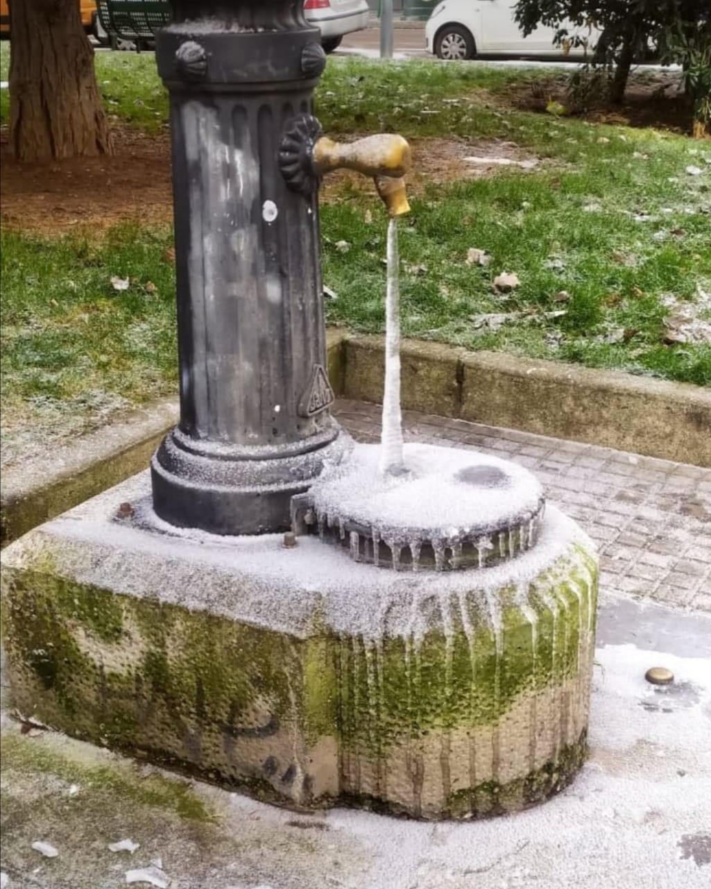 PHOTO-2021-01-08-19-35-39