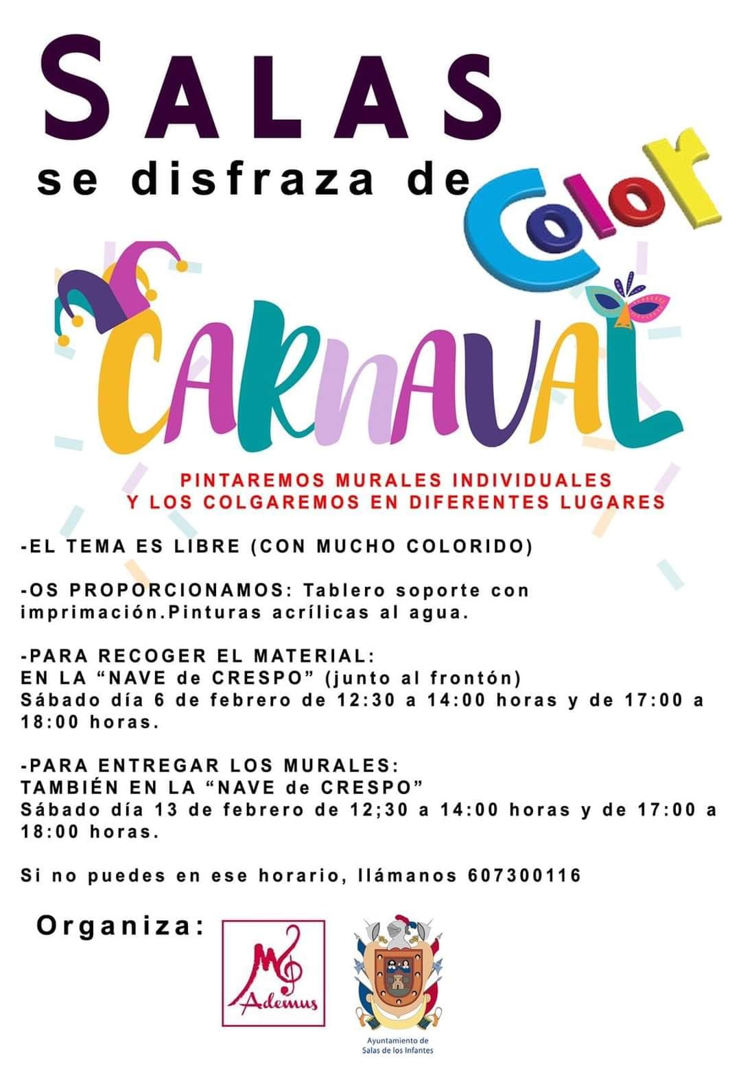 CARTEL DE LOS CARNAVALES DE SALAS