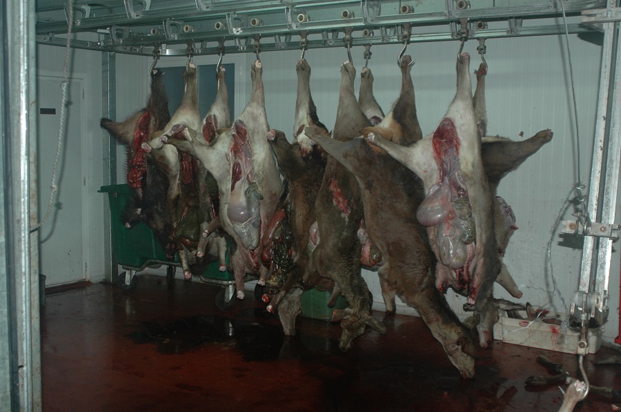 FOTO guardia civil carne caza consumo humano