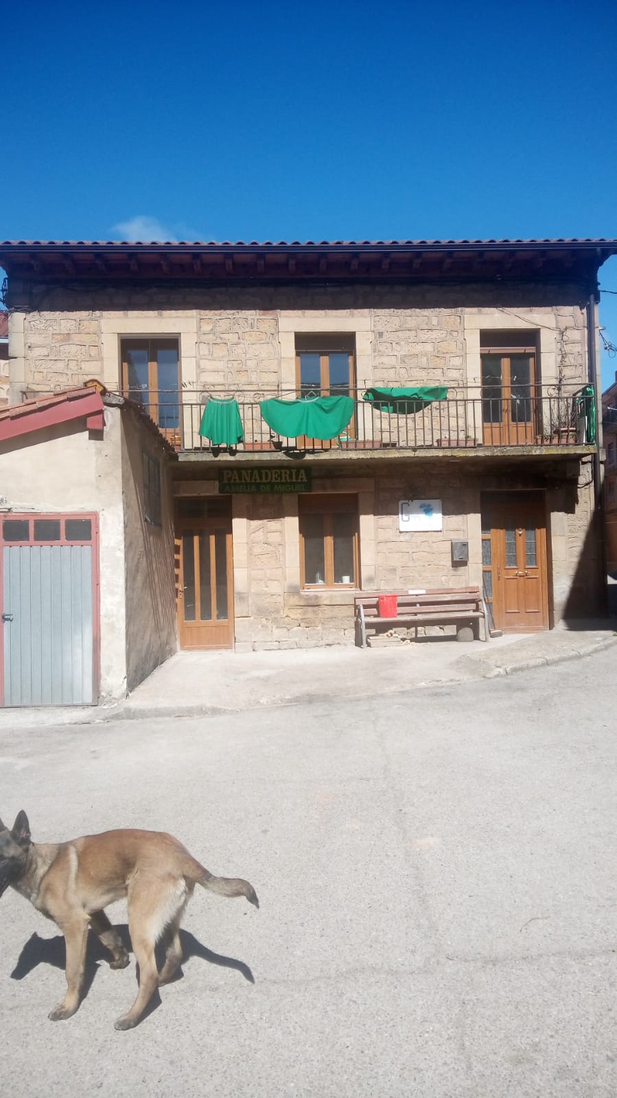 IMG-20210317-WA0011