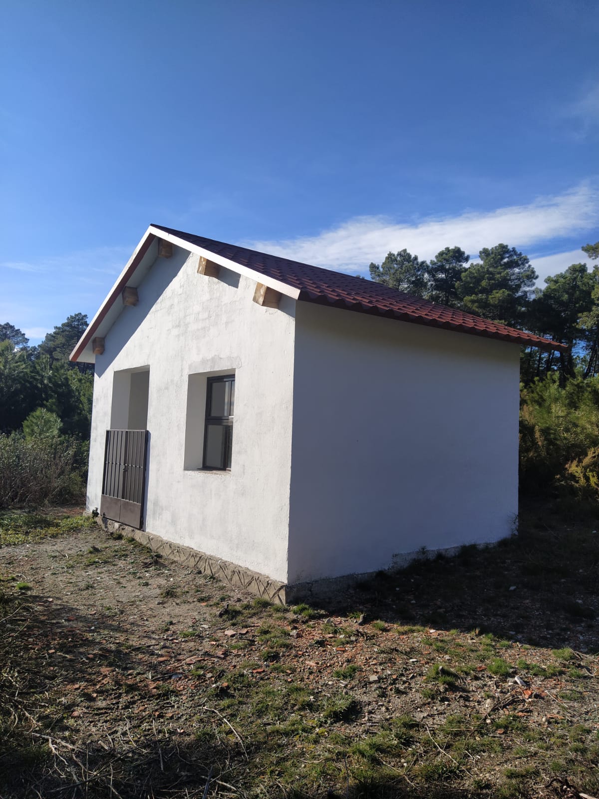 WhatsApp Image 2021-03-18 at 17.40.42 (1)