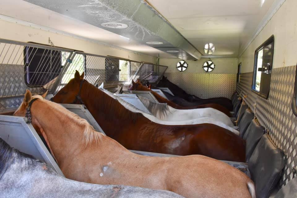 CARAVANA DE LOS CABALLOS