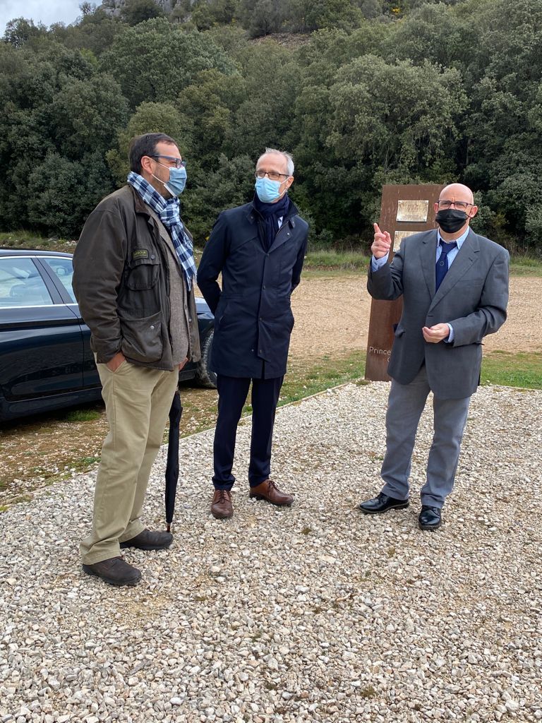 Covarrubias Noruega (2)