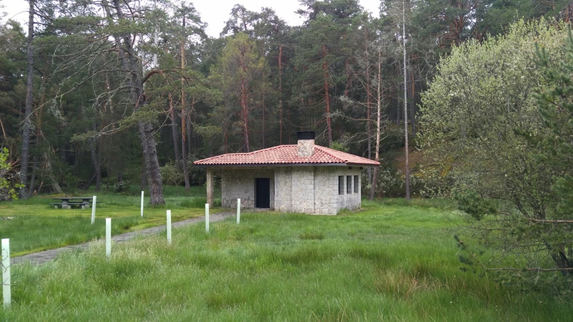 Ayuntamiento y vecinos de Navaleno culminan cambios para adaptar las ordenanzas de la ‘Suerte de Pinos’ a la sociedad actual