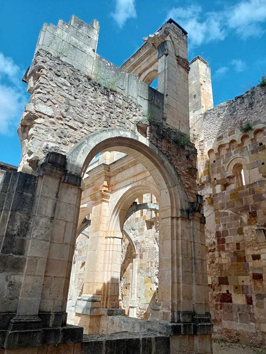 IMG20210623115428 (1)