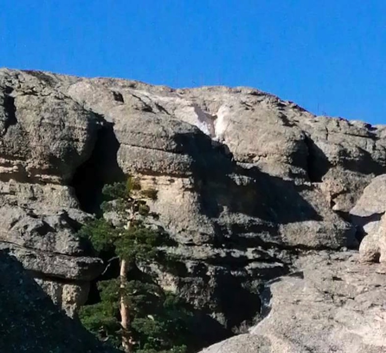 Plataforma Vecinal copia