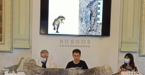 Campaña presentación