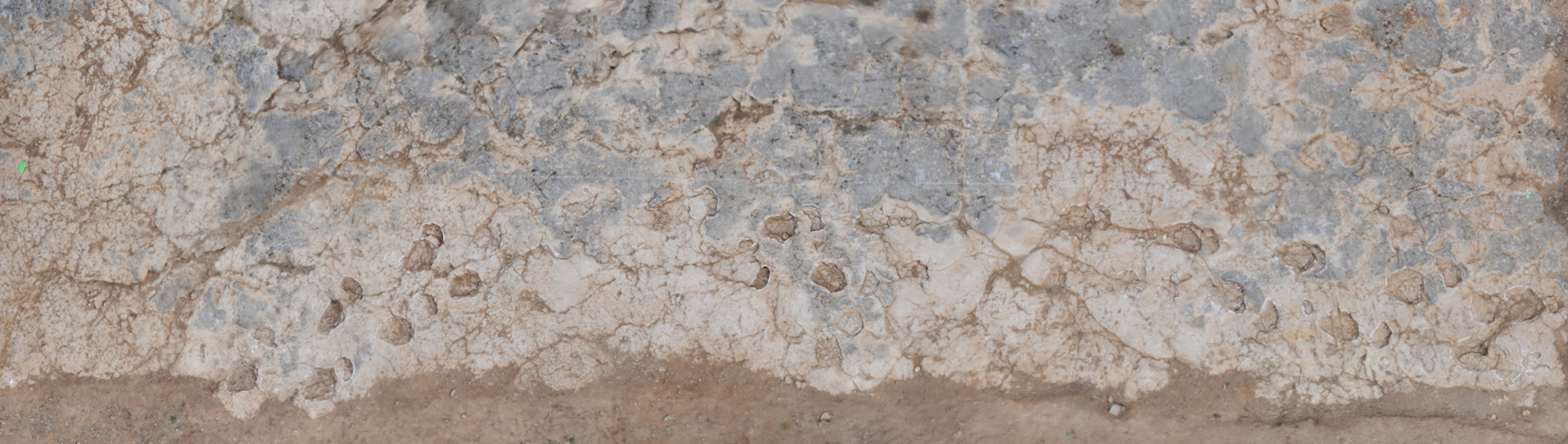 Imagen escaneada del yacimiento Las Sereas 8