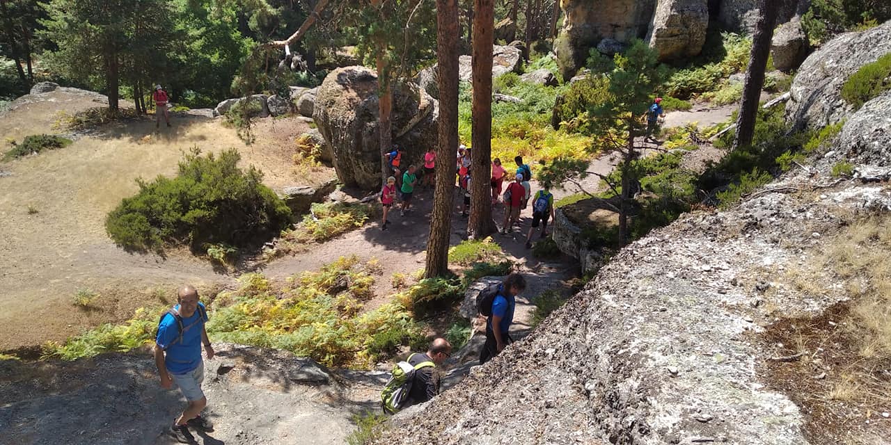 240381535_2404095239727353_4986202003937623554_n