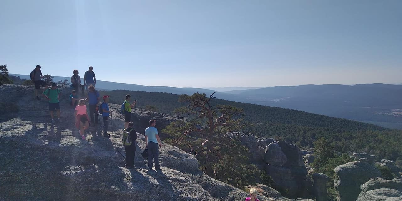 240090273_2404095553060655_5244965427865987522_n