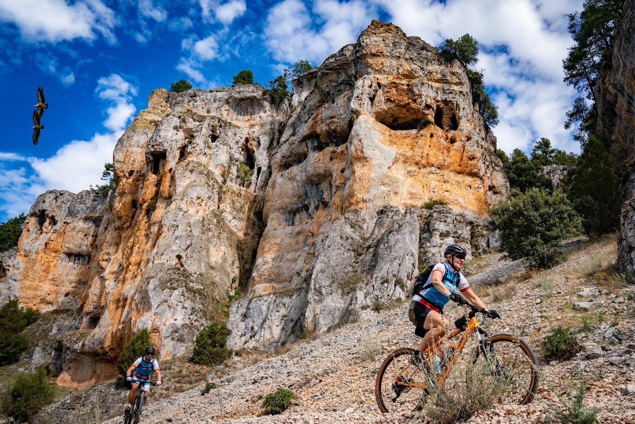 244081881_3910557595712316_7454751166195203510_n