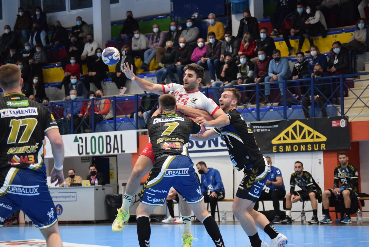 WhatsApp Image 2022-02-02 at 21.17.47