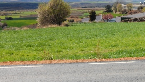 Carretera a Valverde