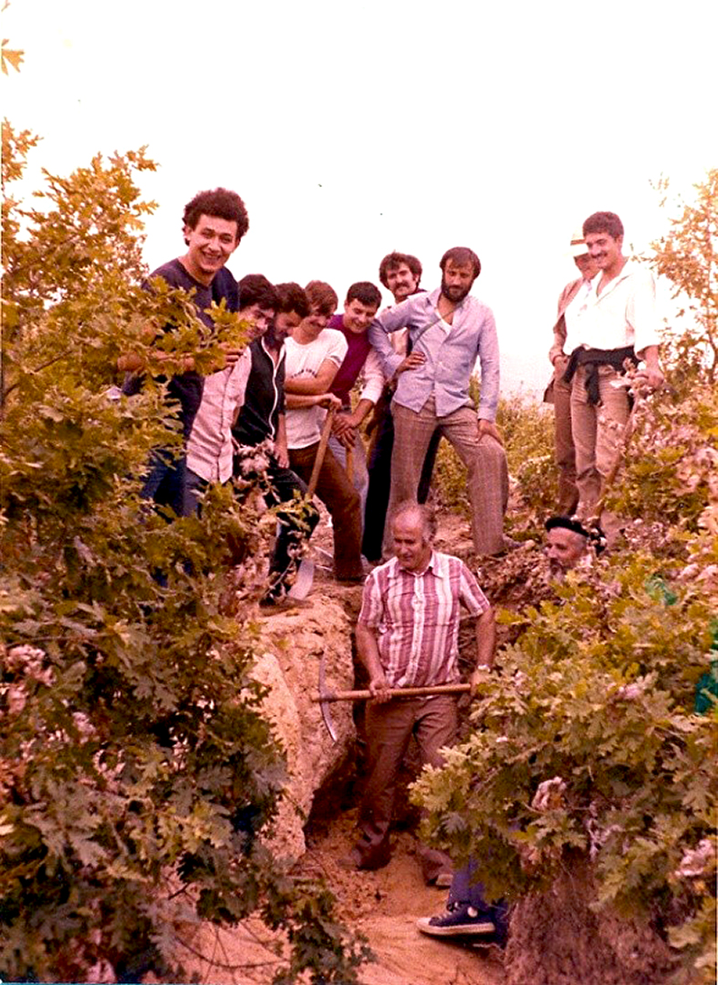 Descubriendo el árbol fósil de las Trisineras.