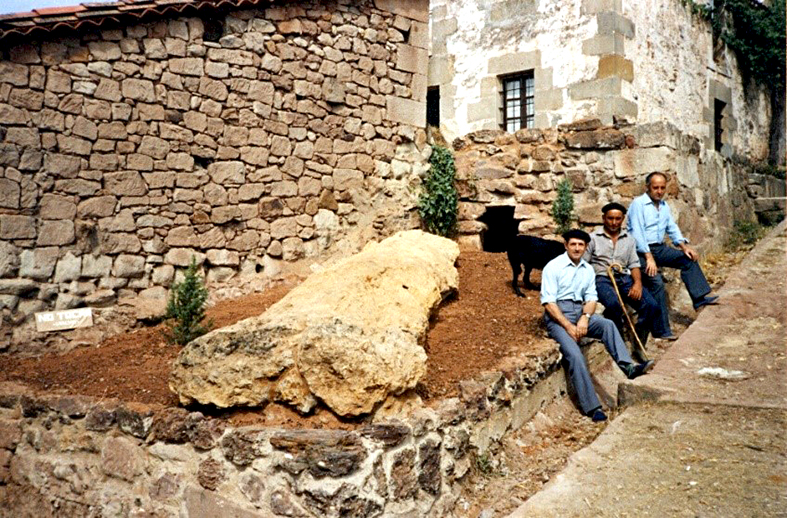 El segundo árbol fósil de Vallejo la Zarza.