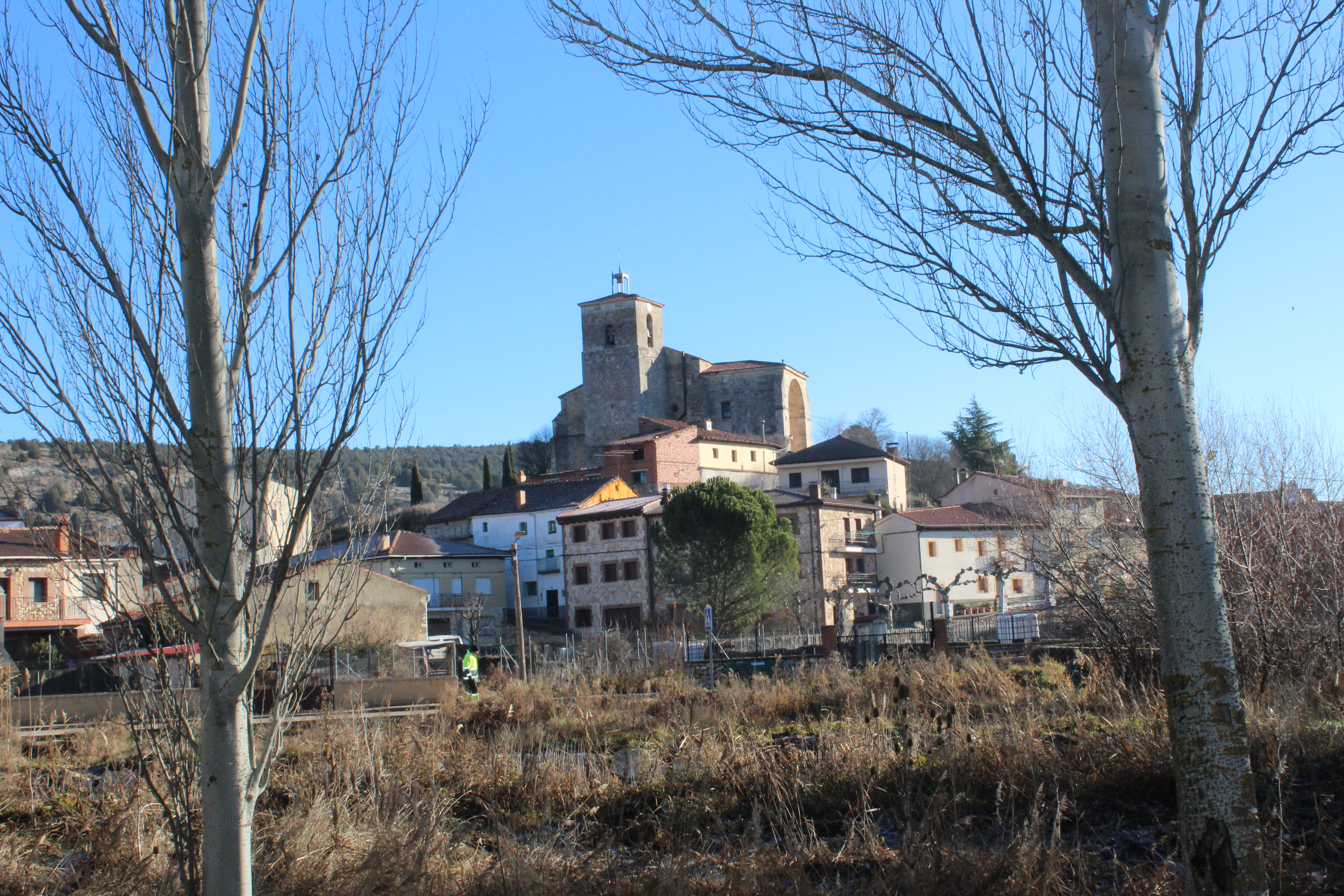 Vista de Araúzo de Miel