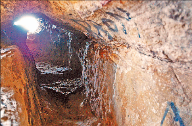 Molde o impronta de árbol fósil de la Cueva de los Moros.