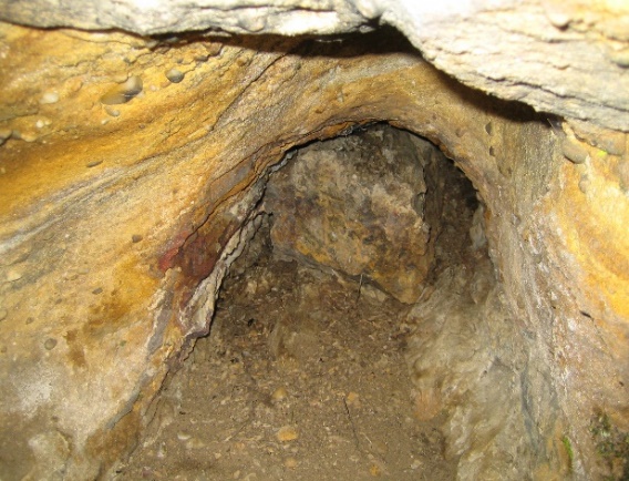 Árbol fósil en el interior de la covacha.