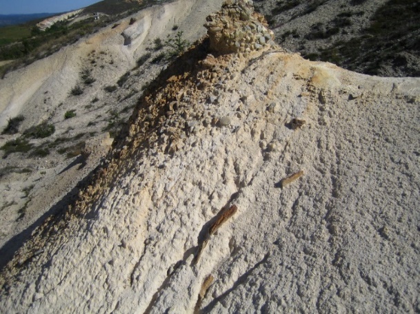 Fragmentos de árbol fósil en la cresta de una cárcava de Carazo.